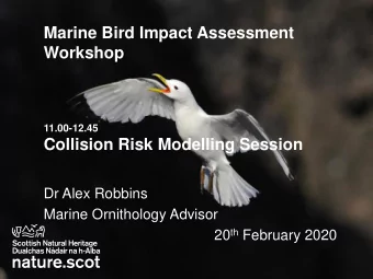 Marine Bird Impact Assessment  Workshop  11.00-12.45  Collision Risk Modelling Session  Dr Alex