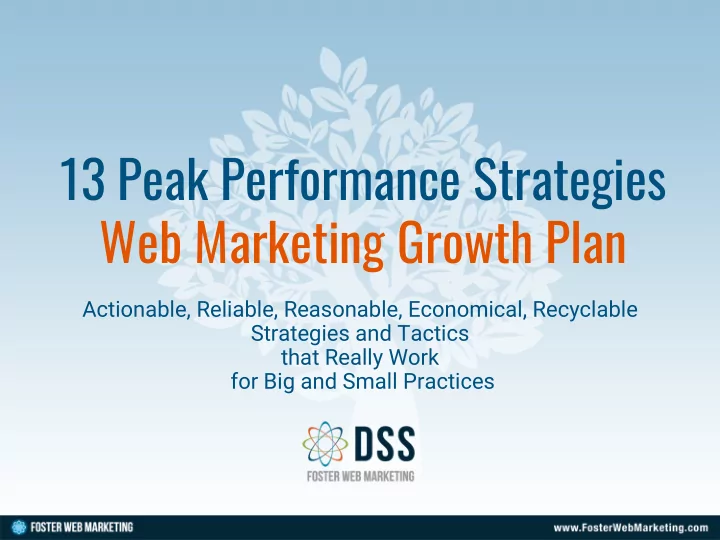 13 peak performance strategies web marketing growth plan