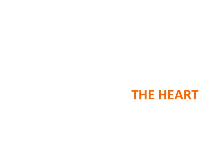 the heart the heart