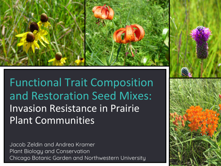functional trait composition and restoration seed mixes