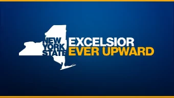 THE L TRAIN TUNNEL  PROJECT REPORT  THE L TRAIN TUNNEL  REVIEW TEAM Mary Boyce