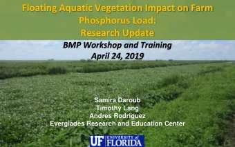 Research Update  BMP Workshop and Training  April 24, 2019  Samira Daroub  Timothy Lang  Andres