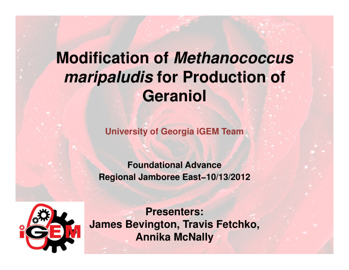 modification of methanococcus maripaludis for production