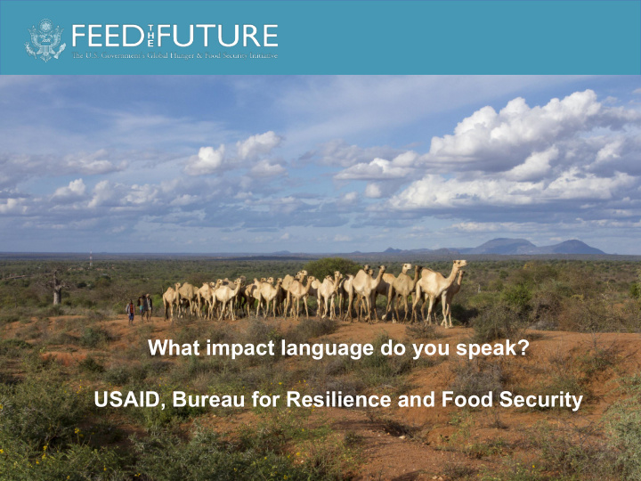 what impact language do you speak usaid bureau for