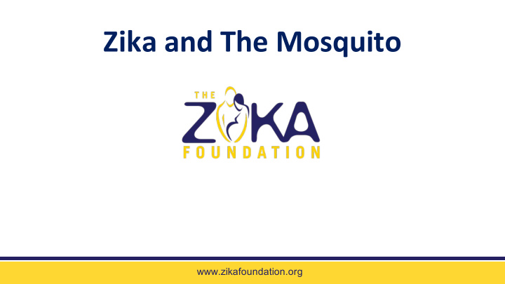 zika and the mosquito