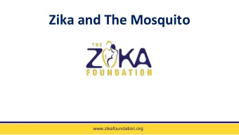 Zika and The Mosquito  www.zikafoundation.org  What are the most dangerous  creatures in the world?
