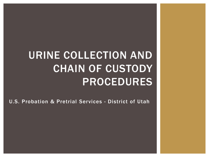 urine collection and