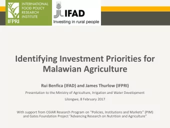 Malawian Agriculture  Rui Benfica (IFAD) and James Thurlow (IFPRI)  Presentation to the Ministry of