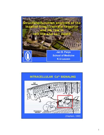 Structure-function analysis of the  inositol trisphosphate receptor  and its role in  cell life and