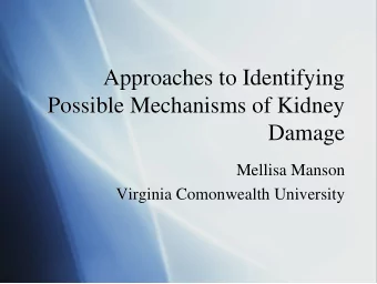 Approaches to Identifying  Approaches to Identifying  Possible Mechanisms of Kidney  Possible