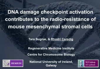 DNA damage checkpoint activation  contributes to the radio-resistance of  mouse mesenchymal stromal