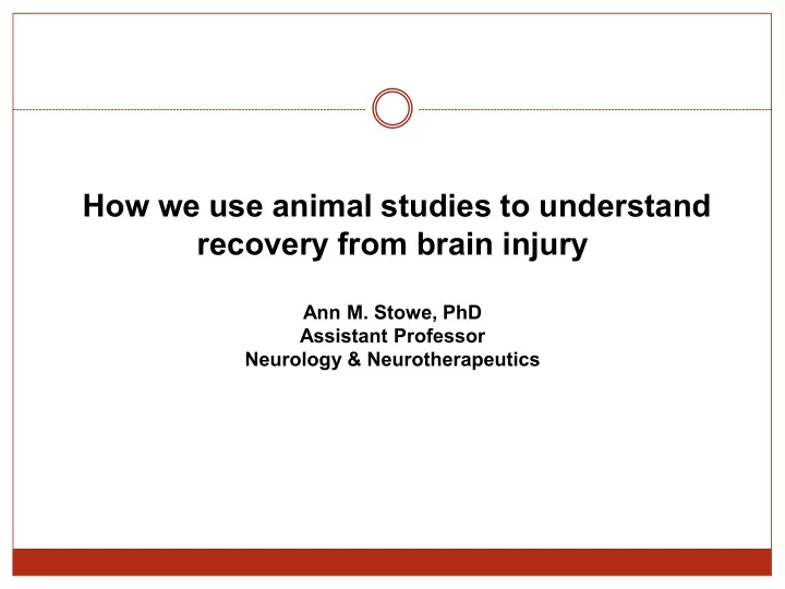 how we use animal studies to understand