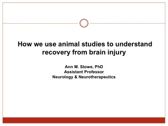How we use animal studies to understand  recovery from brain injury  Ann M. Stowe, PhD  Assistant