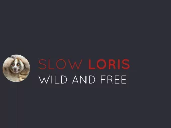 SLOW LORIS  WILD AND FREE  Hello!  IM FAYE VOGELY  Public Relations &amp; Outreach Officer  at