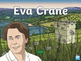 Aim  Aim  To describe Eva Crane and her work with bees.  Success Criteria  Success Criteria
