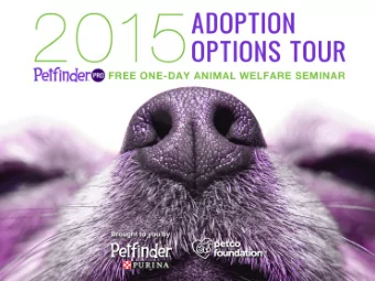 Melissa Vecera  Shelter Outreach  Specialist  melissa@petfinder.com  Lily (with foster kitten