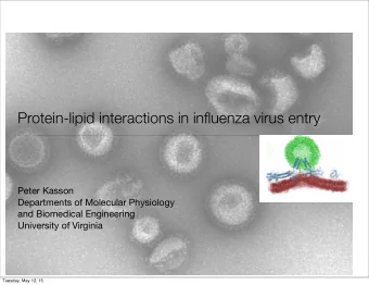 Protein-lipid interactions in influenza virus entry  Peter Kasson  Departments of Molecular