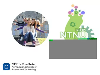 Team: The Students  Maria K.  Shiva  Ingrid Fadum  Ellen Stormo  Patricia Adl  Andersen  Moghaddam