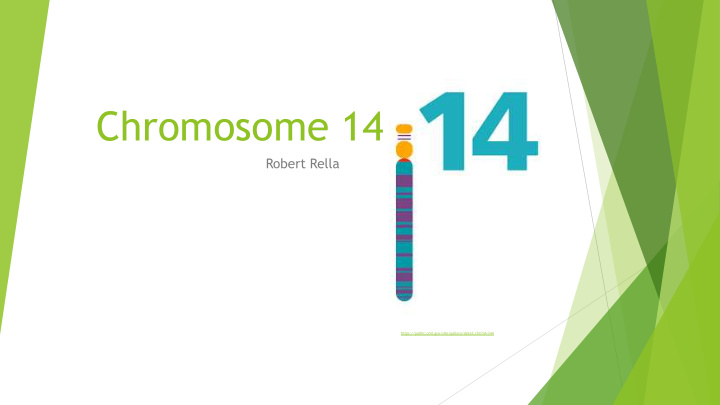 chromosome 14