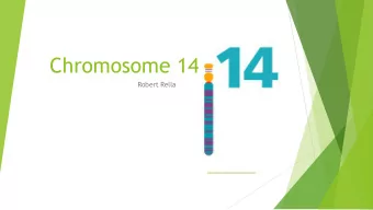 Chromosome 14  Robert Rella  https://public.ornl.gov/site/gallery/detail.cfm?id=344  Overview  Nuts