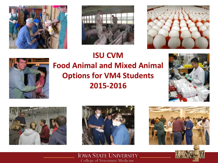 isu cvm food animal and mixed animal options for vm4