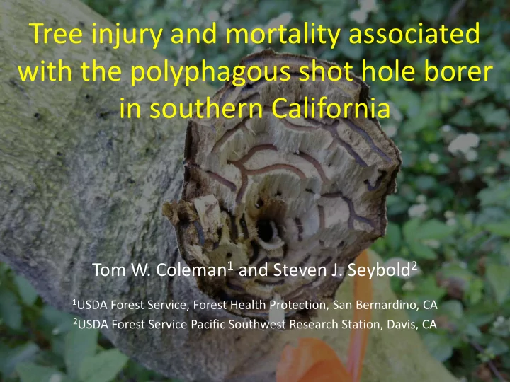 tree injury and mortality associated with the polyphagous