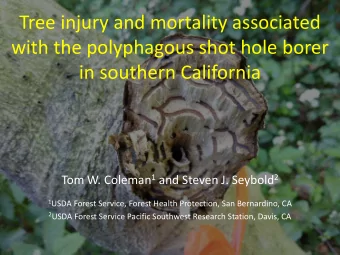 Tree injury and mortality associated  with the polyphagous shot hole borer  in southern California