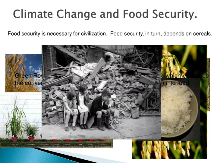 green revolution an exploitation of structural diversity