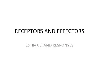 RECEPTORS AND EFFECTORS  ESTIMULI AND RESPONSES  SENSORY RECEPTORS  They are responsible for