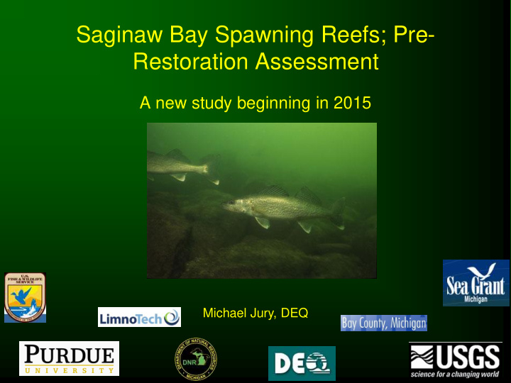 saginaw bay spawning reefs pre