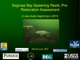 Saginaw Bay Spawning Reefs; Pre-  Restoration Assessment  A new study beginning in 2015  Michael