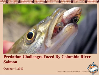 Predation Challenges Faced By Columbia River Salmon  1 October 4, 2013  Columbia River Inter-Tribal
