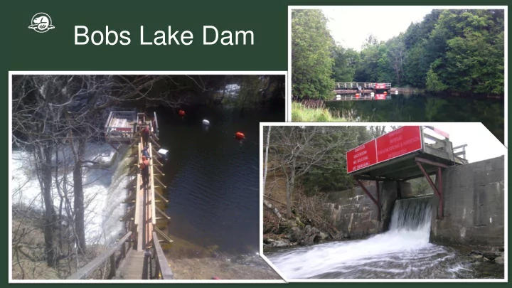 bobs lake dam