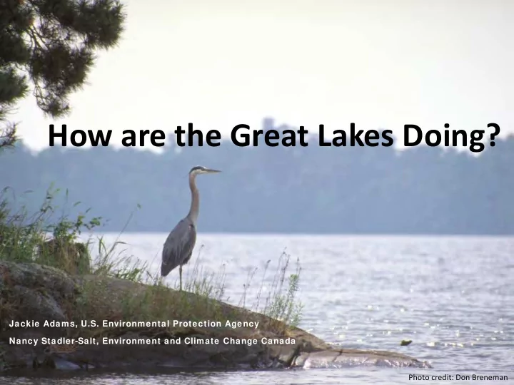 how are the great lakes doing