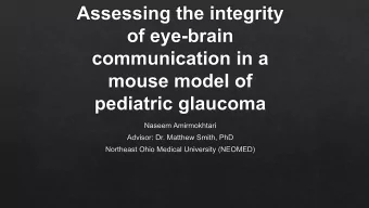 Lui et al., 2013  Wang &amp; Wiggs, 2014  Dengler-Crish et al., 2014  Smith et al., 2018  Wildtype