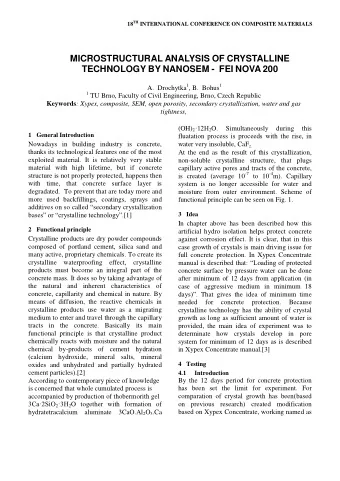 BY   NANOSEM FEI - NOVA 200  N. N modification is double based composition  on cement-polymer