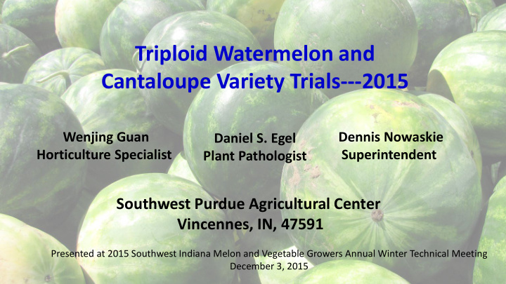 triploid watermelon and cantaloupe variety trials 2015