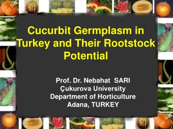 Cucurbit Germplasm in  Turkey and Their Rootstock  Potential  Prof. Dr. Nebahat  SARI  ukurova
