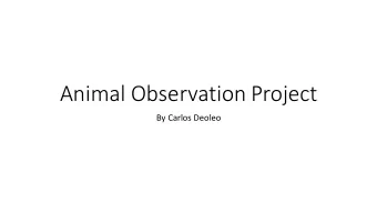 Animal Observation Project  By Carlos Deoleo  Animals chosen  I observed many of the animals in