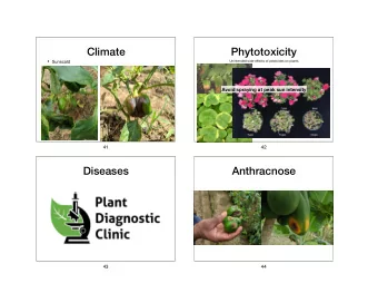 Climate  Phytotoxicity  Sunscald Unintended side-e ff ects of pesticides on plants  Avoid