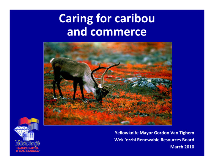 caring for caribou and commerce