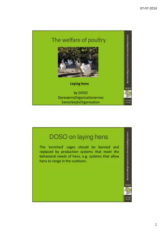 The welfare of poultry  Laying hens  DOSO  by DOSO  DyrevrnsOrganisationernes  www.doso.dk