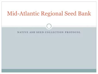 Mid-Atlantic Regional Seed Bank  N A T I V E  A S H  S E E D  C O L L E C T I O N  P R O T O C O L