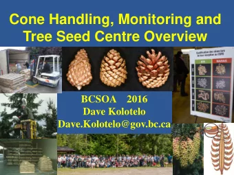 Cone Handling, Monitoring and  Tree Seed Centre Overview  BCSOA    2016  Dave Kolotelo