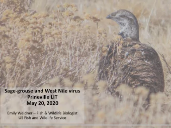 Sage-grouse and West Nile virus  Prineville LIT  May 20, 2020 Emily Weidner  Fish &amp; Wildlife