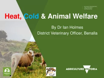 Heat, Cold &amp; Animal Welfare  By Dr Ian Holmes  District Veterinary Officer, Benalla  Farming