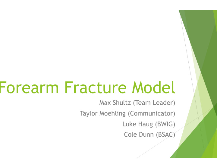 forearm fracture model