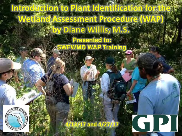 introduction to plant identification for the wetland