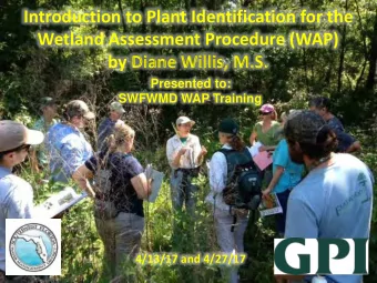 Introduction to Plant Identification for the  Wetland Assessment Procedure (WAP)  by Diane Willis,