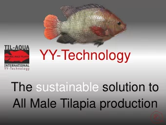 YY-Technology  The sustainable solution to  All Male Tilapia production  Hormone sex-reverse